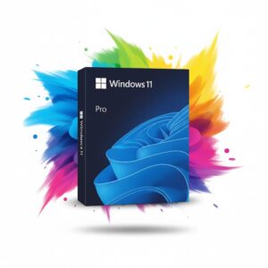 Windows 11 Pro
